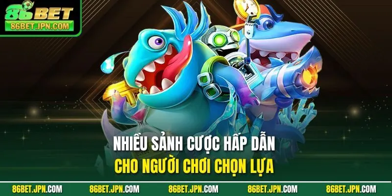 Nhiều sảnh cược hấp dẫn cho người chơi chọn lựa